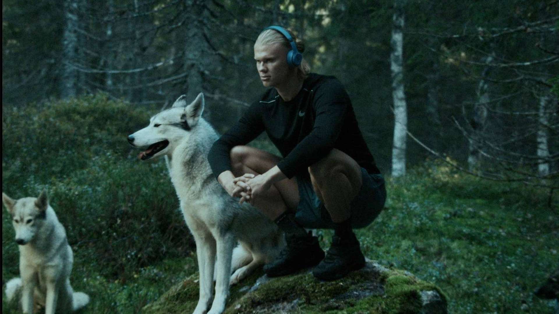 凱斯勒的到 凱斯勒的到